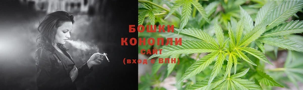 соль ск Дегтярск
