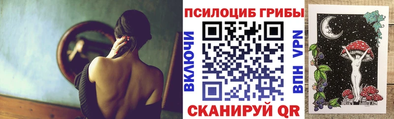 Псилоцибиновые грибы Cubensis  что такое   площадка формула  Кремёнки 
